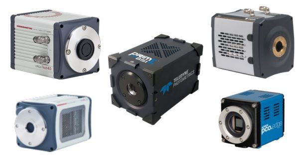 Cameras for Electrophysiology and Imaging