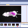 FOBI - Fluorescence In Vivo Imaging System - Image 6