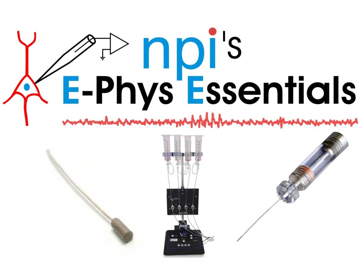 Electrophysiology Essentials