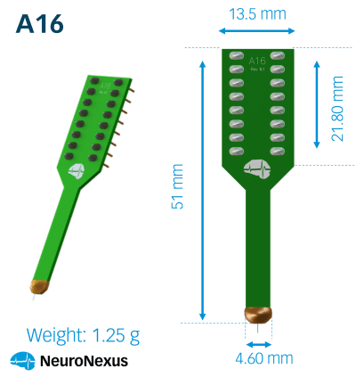 Acute Probes