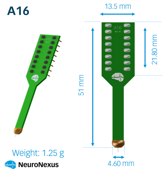 16 channel probes (acute)