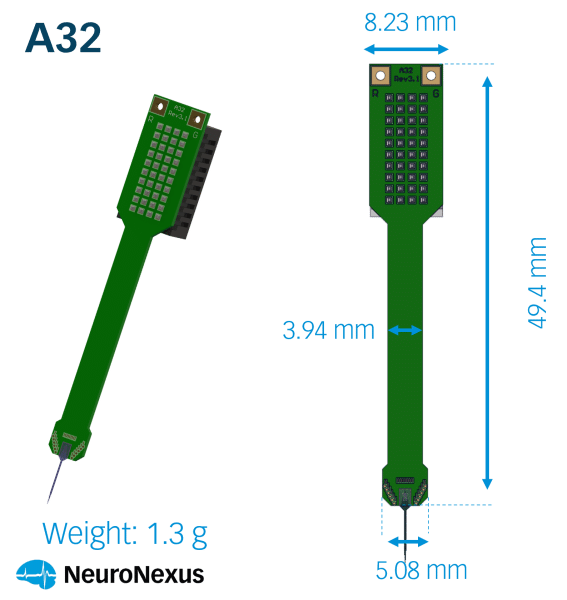 32 channel probes (acute)