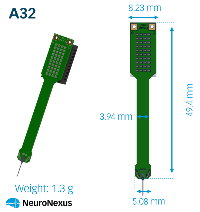 32 channel probes (acute)