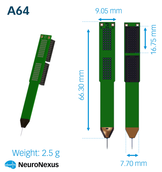 64 channel probes (acute)