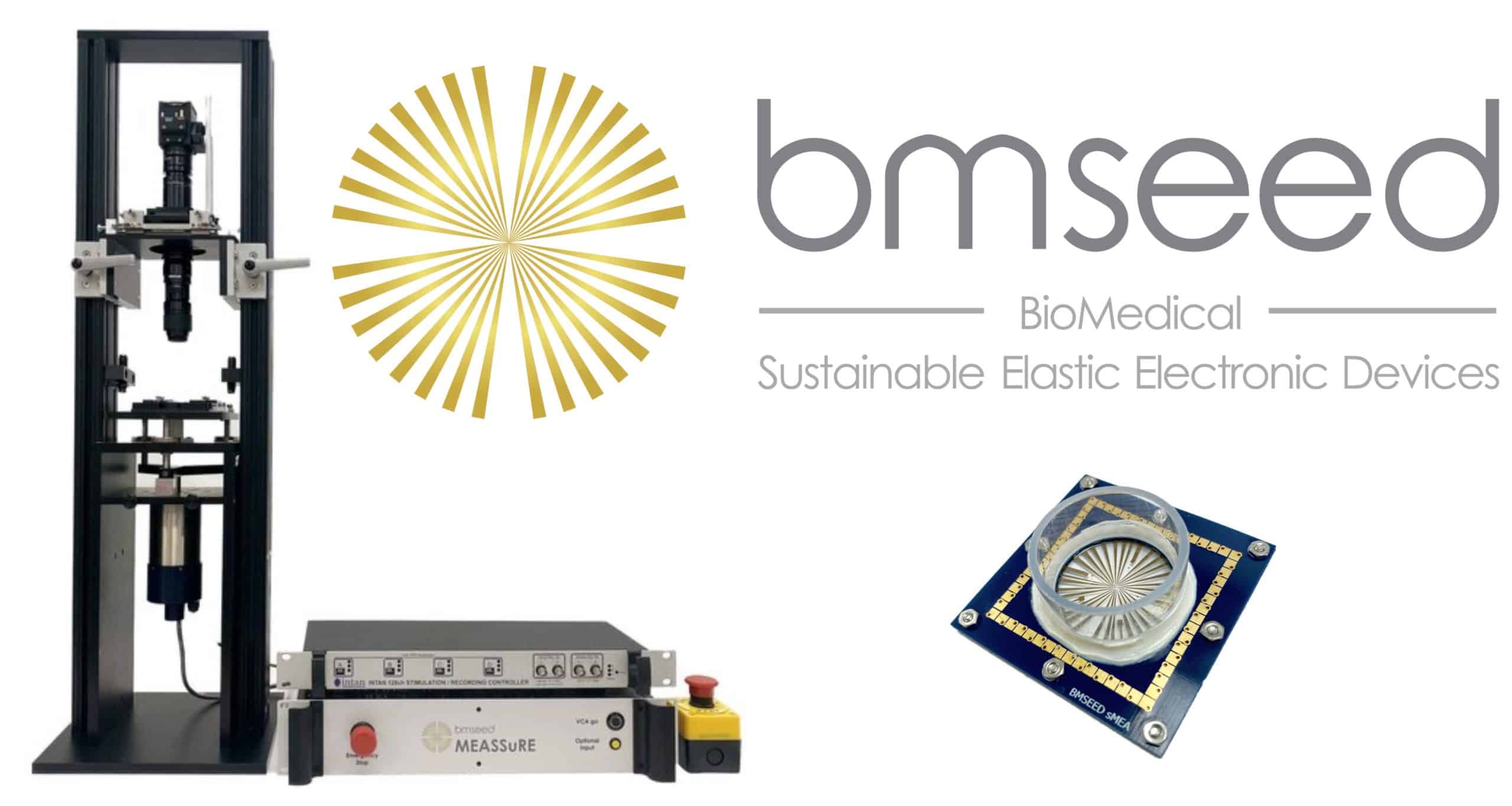 Multi Electrode Array - MEA