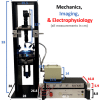 MEASSuRE - MEA stretching, recording and imaging - Image 2