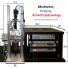 MEASSuRE - MEA stretching, recording and imaging - Image 7