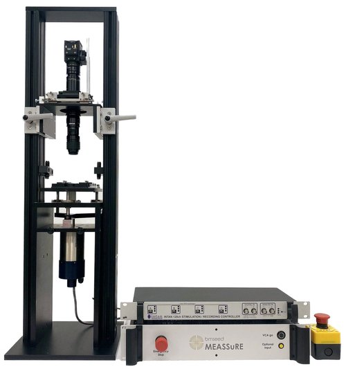 MEASSuRE – MEA stretching, recording and imaging