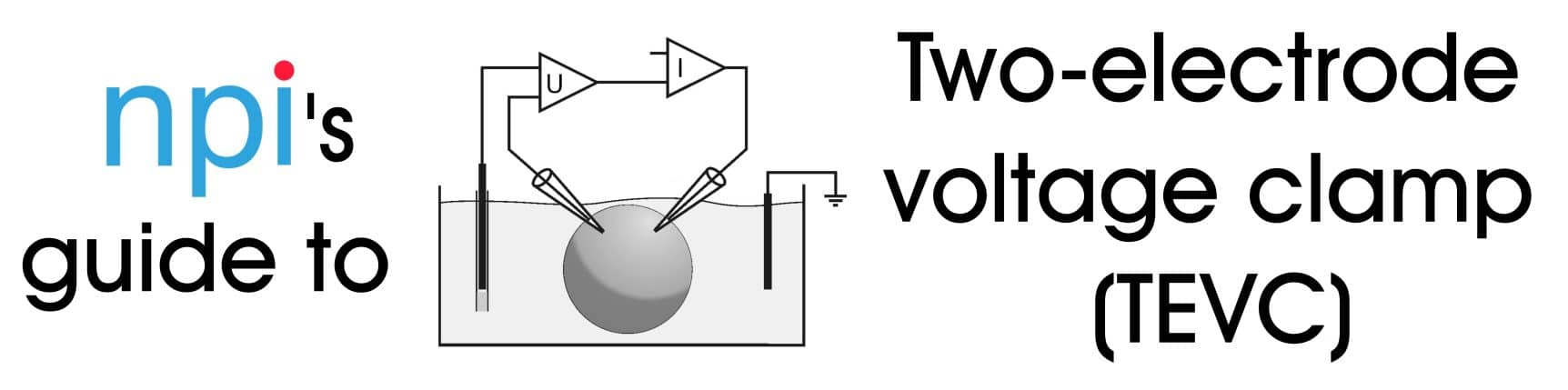 Tevc Rig npi's guide to Two Electrode Voltage Clamp in Xenopus oocytes - NPI ...